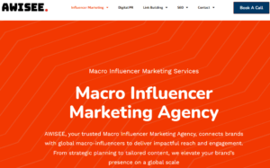 Micro Influencer Agencies