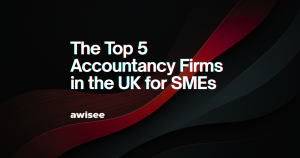 Alt="Accountancy firms UK for SMEs"